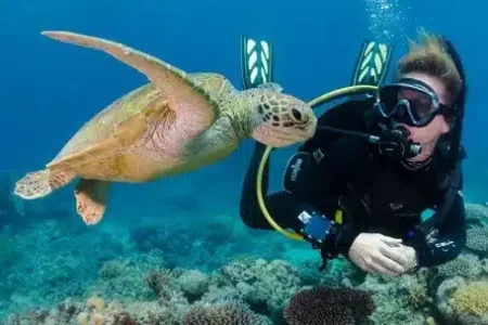 Дайвинг в Хургаде — погружение в Красное море с кораллами и рыбами