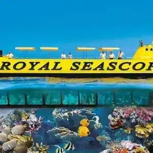 Наблюдайте подводный мир с батискафа и ныряйте у рифов. Подходит для всей семьи!