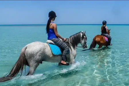 купание на лошадях в море Хургада экскурсия